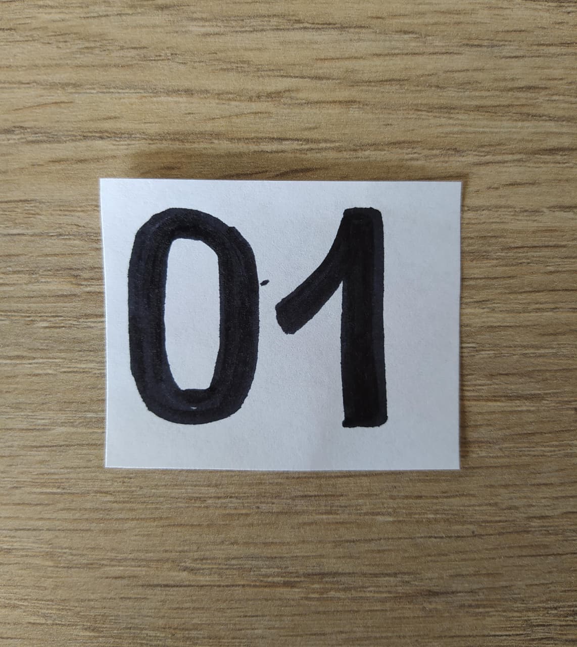 Perfecto Imperfecto Zebra Rock Jacket Talla S #01