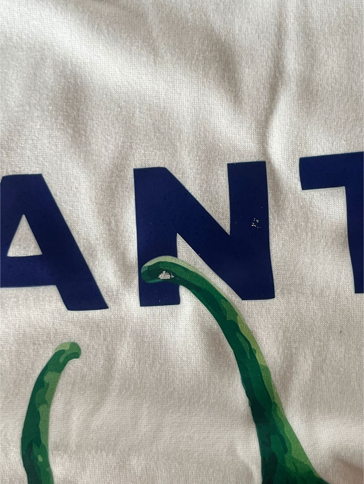 Perfecto Imperfecto Camiseta Oversized Chiles Talla Única #38